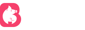 91每日大赛