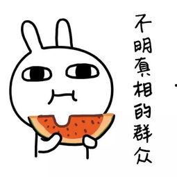 娱乐吃瓜酱其实你的身体,身体构造与功能解析